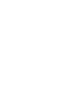 ZMAN5.png