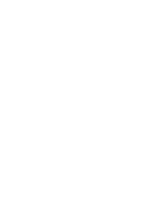 alei2.png