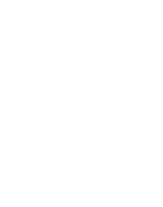 bos.png