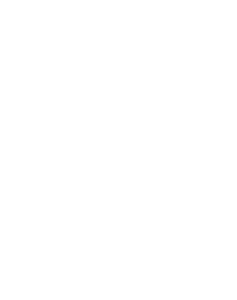 dimri.png