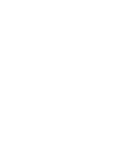 vittt.png